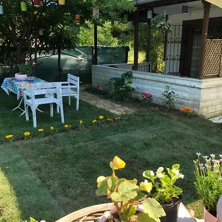 Daire Vılla Park *